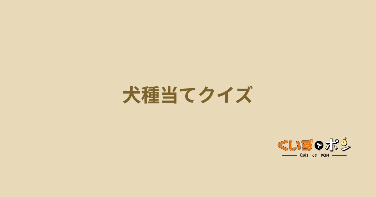 犬種当てクイズ